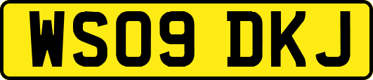 WS09DKJ