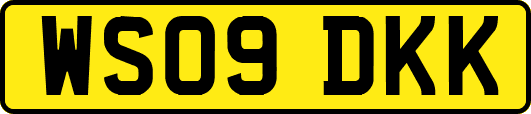 WS09DKK