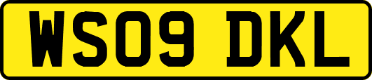 WS09DKL