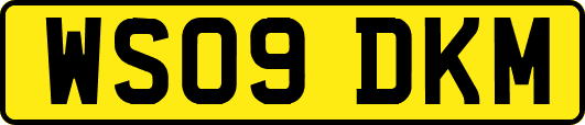 WS09DKM