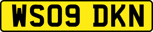 WS09DKN