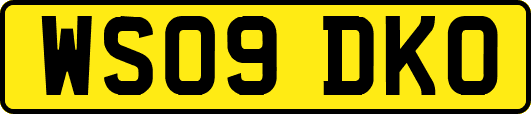 WS09DKO