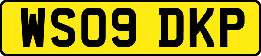 WS09DKP