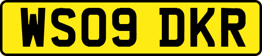 WS09DKR