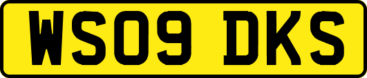 WS09DKS