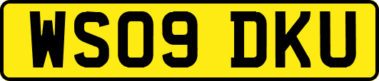 WS09DKU