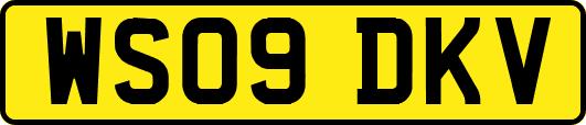 WS09DKV