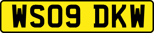WS09DKW