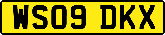 WS09DKX