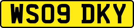 WS09DKY