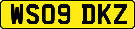 WS09DKZ