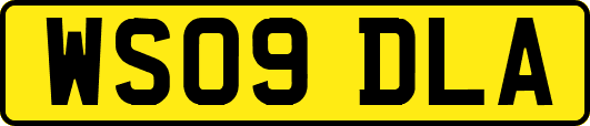 WS09DLA