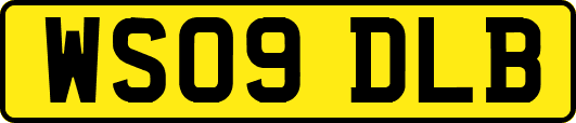 WS09DLB
