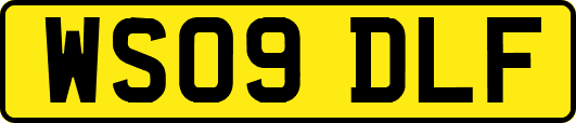WS09DLF
