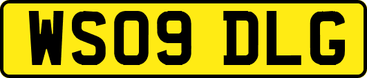 WS09DLG