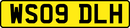 WS09DLH