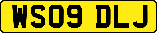 WS09DLJ