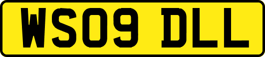 WS09DLL
