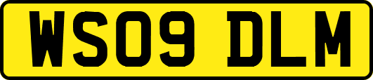 WS09DLM