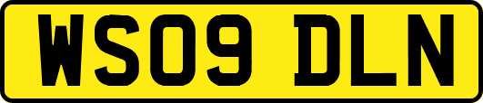 WS09DLN