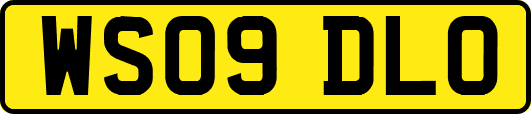WS09DLO