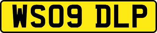 WS09DLP
