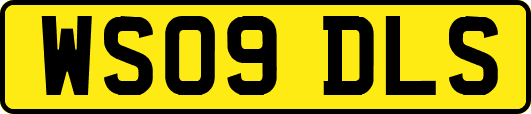 WS09DLS