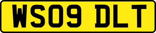 WS09DLT