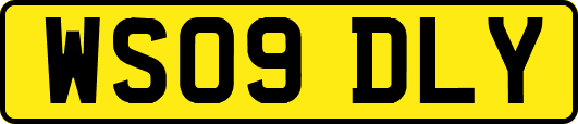 WS09DLY