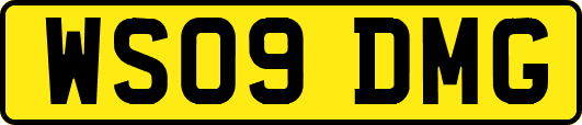 WS09DMG