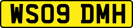 WS09DMH