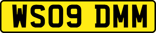WS09DMM