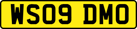 WS09DMO