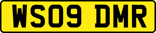 WS09DMR