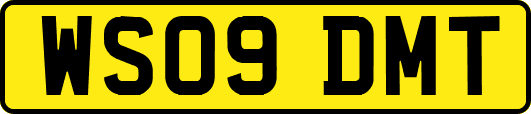 WS09DMT