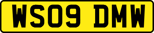 WS09DMW