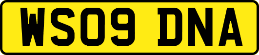WS09DNA