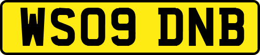 WS09DNB
