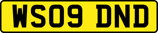 WS09DND