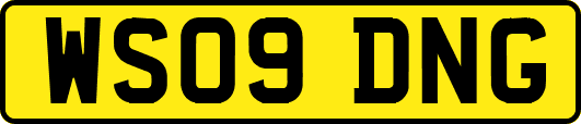 WS09DNG