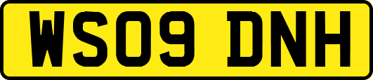 WS09DNH