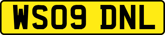 WS09DNL