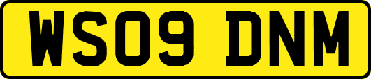 WS09DNM