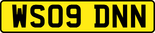 WS09DNN