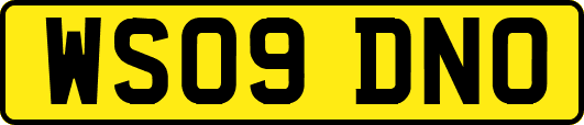 WS09DNO