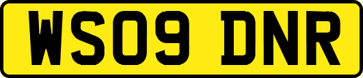 WS09DNR