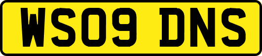 WS09DNS
