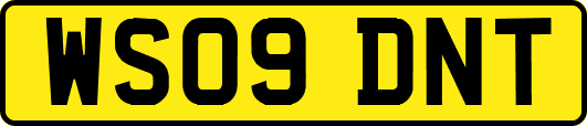 WS09DNT