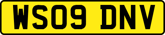 WS09DNV