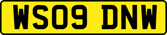 WS09DNW